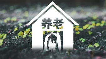重庆年内将建20个智慧旅游试点景区，数字化赋能文旅新体验
